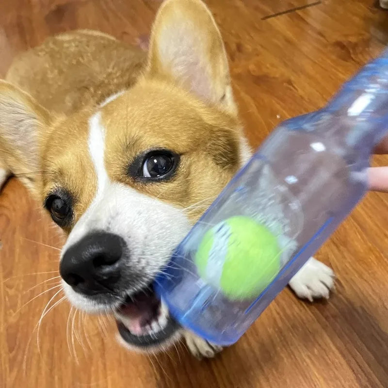 Beer Bottle Dog Chew Toy with Tennis Ball | Bite-Resistant, Squeaky & Interactive Puppy Toy