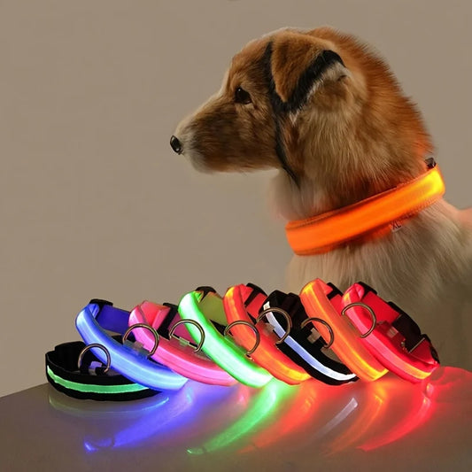 LED Glow Dog Collar & Leash | Weatherproof, Adjustable & Night-Safety with 4 Light Modes